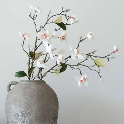 White Blush Magnolia Stem with Leaves
