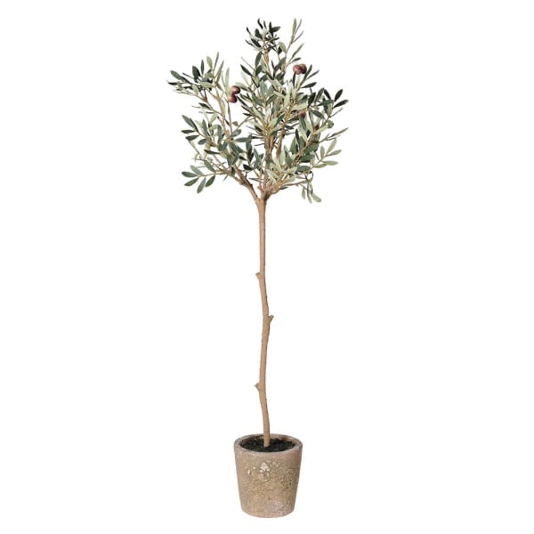 Faux Olive Tree in Ceramic Garden Pot