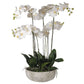 Large Orchid in Stone Planter