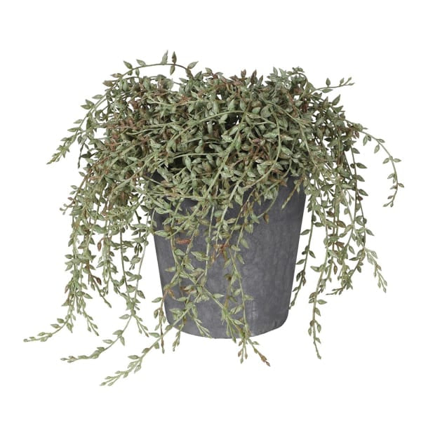 faux senecio plant in clay pot