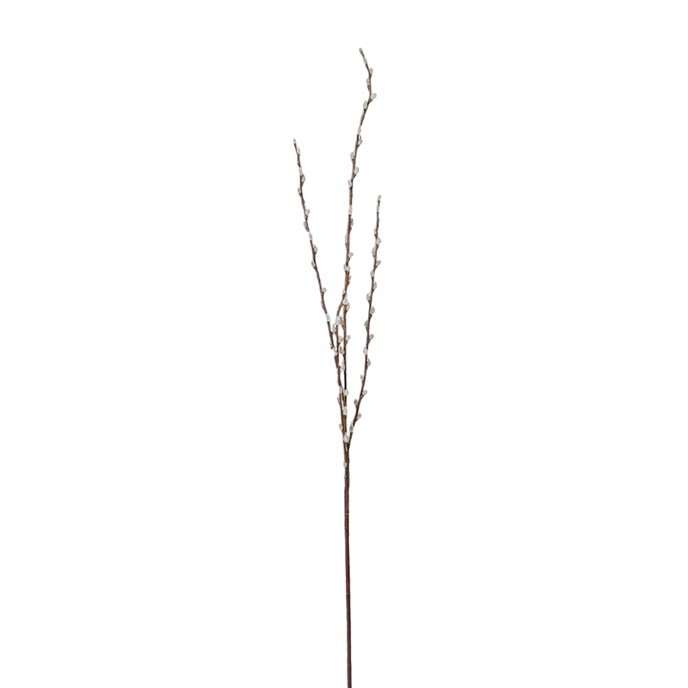 Pussy Willow Stem Natural