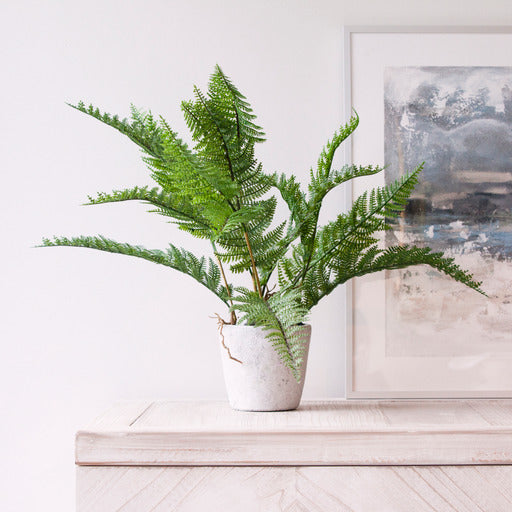 faux potted fern 