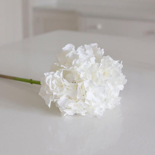 white hydrangea stem