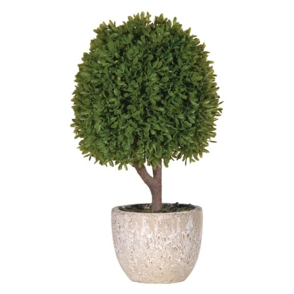 Topiary Tree in Pot